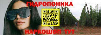 бошки Братск
