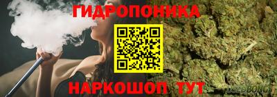 бошки Братск
