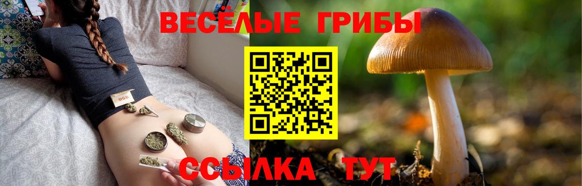 Псилоцибиновые грибы Magic Shrooms Новый Уренгой